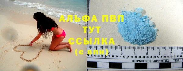 прущие грибы Лабытнанги