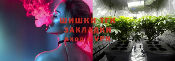 прущие грибы Лабытнанги