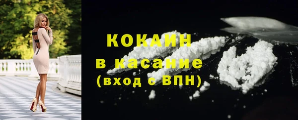 прущие грибы Лабытнанги