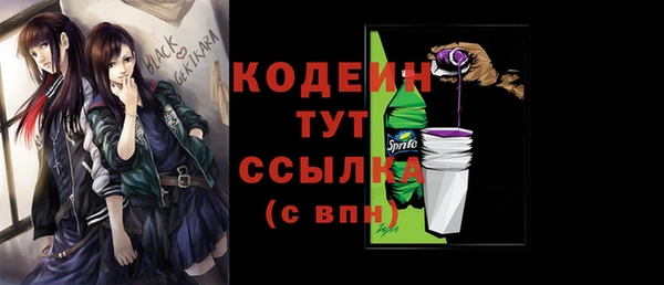 прущие грибы Лабытнанги