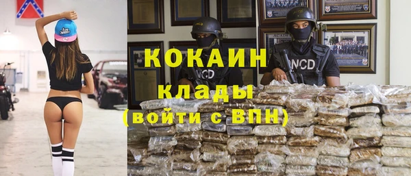 молекула духа Липки