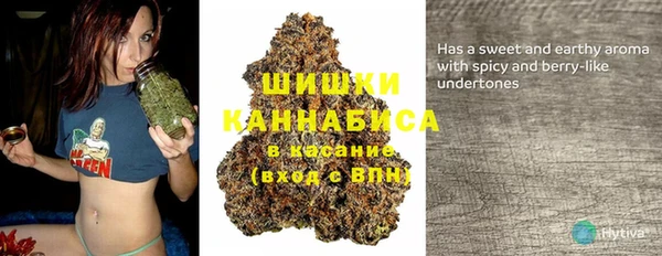 прущие грибы Лабытнанги