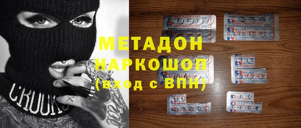 прущие грибы Лабытнанги