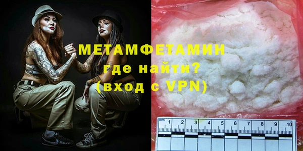 прущие грибы Лабытнанги