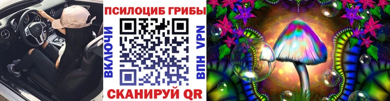 Галлюциногенные грибы Psilocybe МЕГА онион Старый Крым
